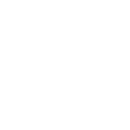 Shopify Integration Icon