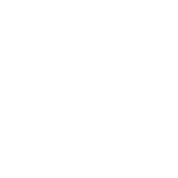 Shopify Integration Icon