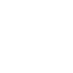 Shopify Integration Icon